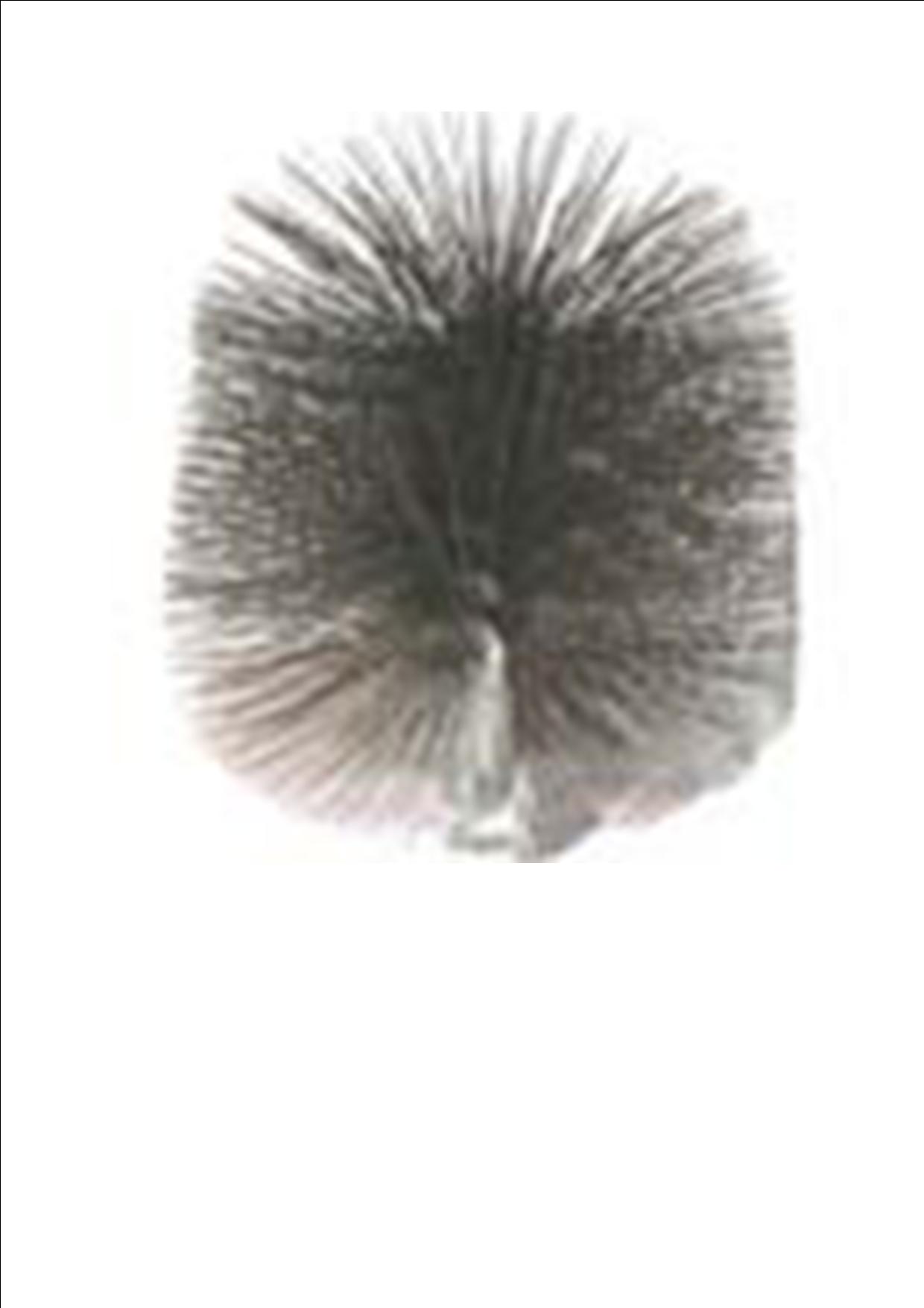 Staalborstel Ø 250 mm exclusief adapter